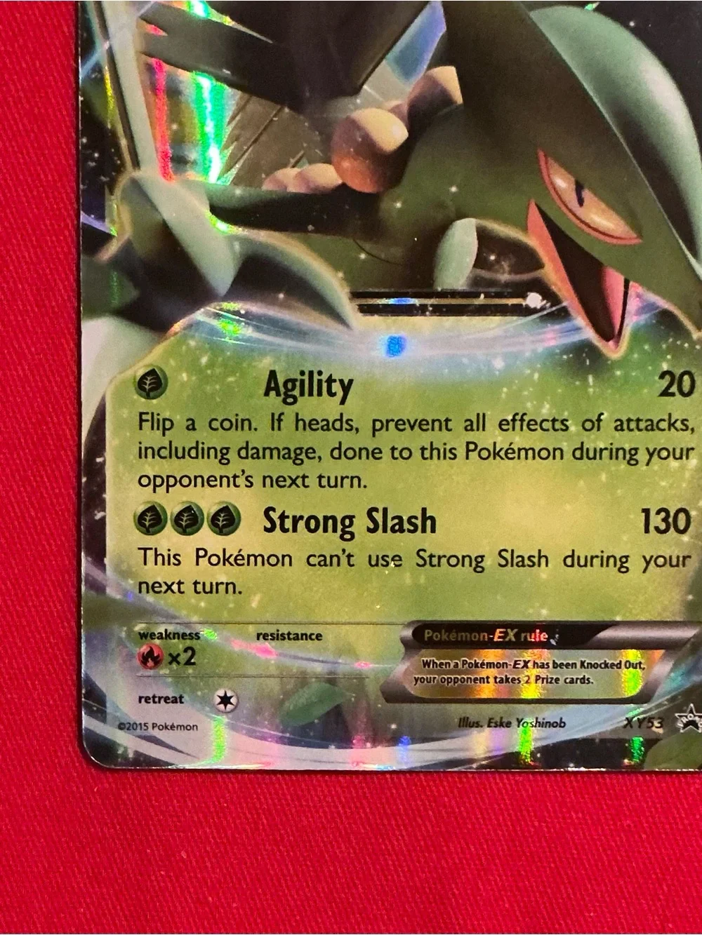 The Pokémon Company Pokémon TCG Sceptile EX XY53 XY Holo Promo English 2015 170